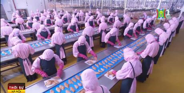 Nông nghiệp Hà Nội sau 15 năm hợp nhất