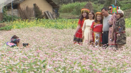 Đài Hà Nội