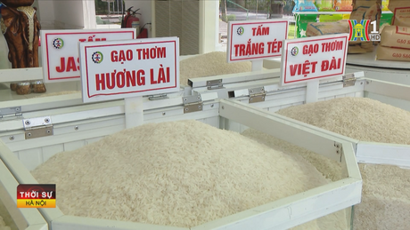 Đài Hà Nội