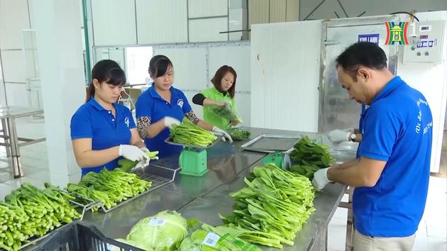 Đài Hà Nội