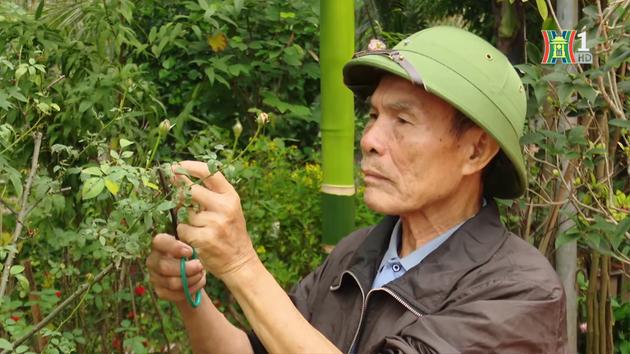 Đài Hà Nội