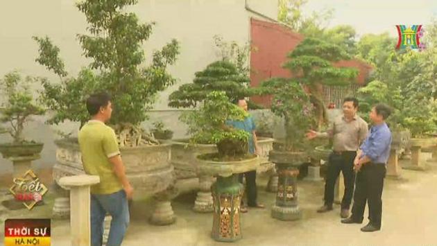 Thú chơi sinh vật cảnh ngày xuân