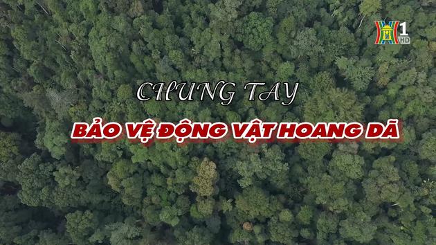Đài Hà Nội