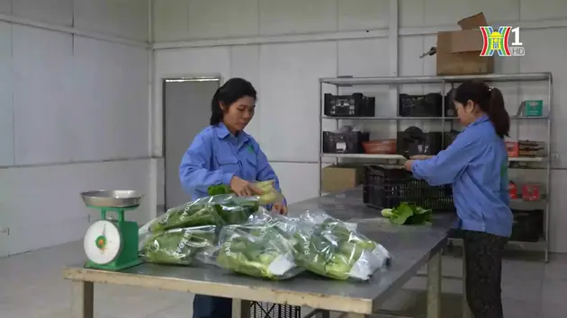 Đài Hà Nội
