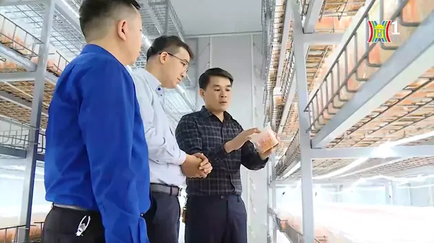 Đài Hà Nội