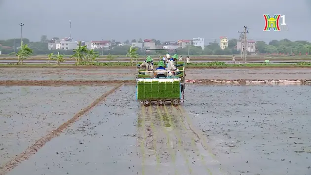 Đài Hà Nội