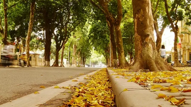 Đài Hà Nội