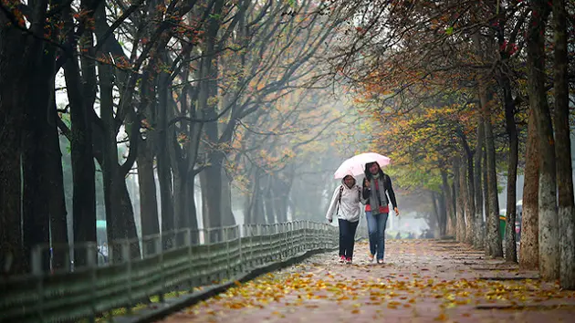 Những ngày chớm đông