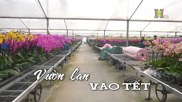 Đài Hà Nội