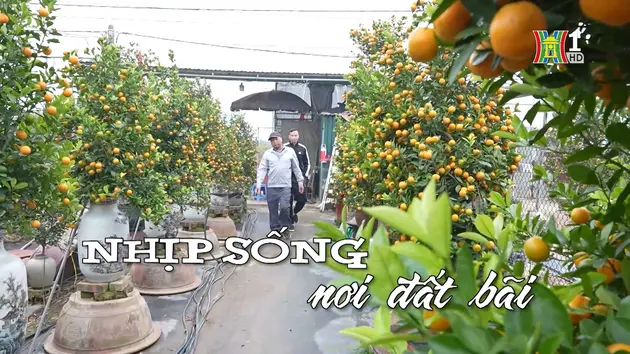 Đài Hà Nội