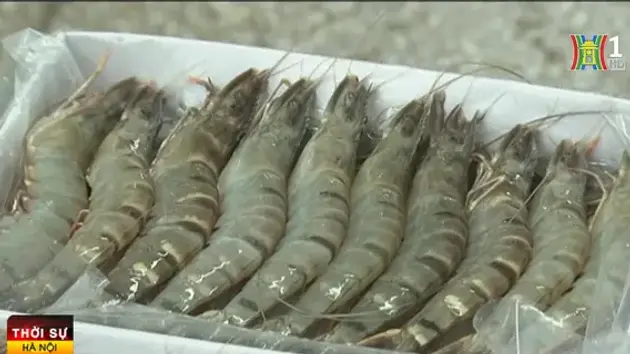 Đài Hà Nội