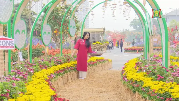 Đài Hà Nội