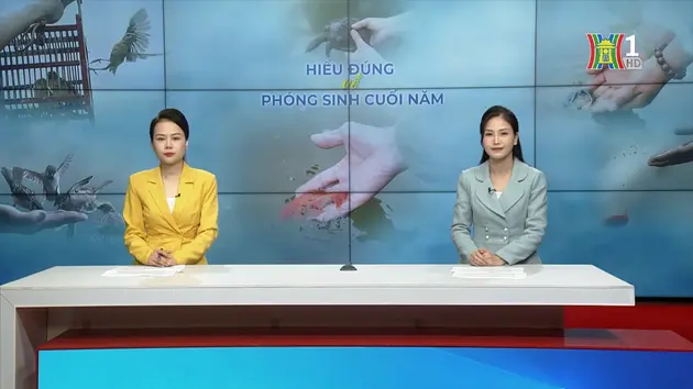 Đài Hà Nội