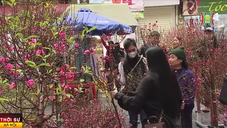 Nét xuân trong từng sắc hoa Hàng Lược