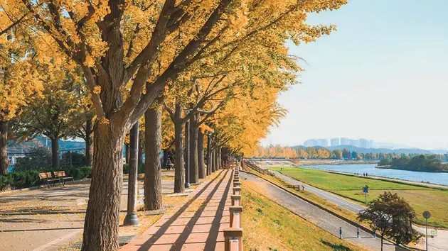 K Campus Dream: Thành phố Asan hòa quyện giữa lịch sử, văn hoá

