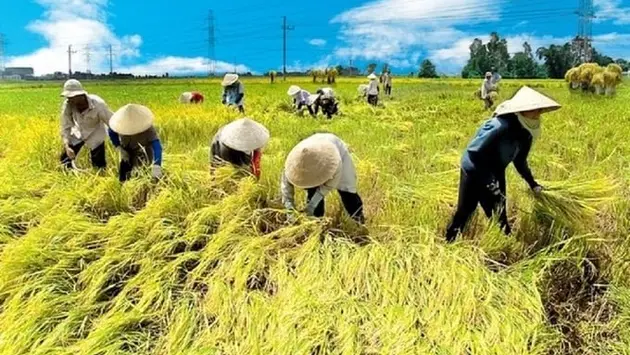 Đài Hà Nội