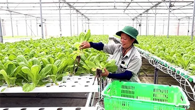 Đài Hà Nội