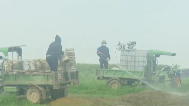 Đài Hà Nội