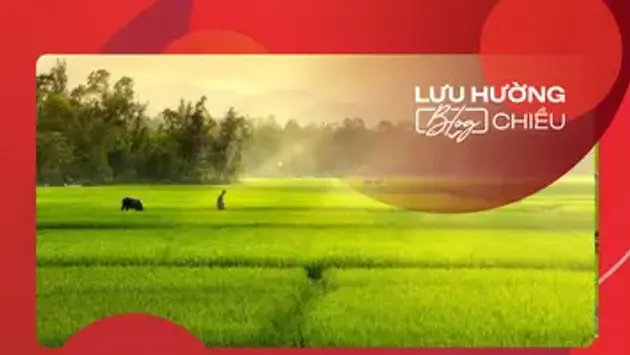 Đài Hà Nội