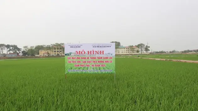 Đài Hà Nội