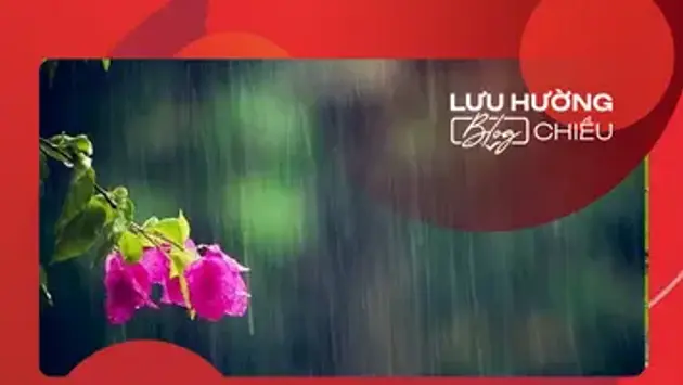 Đài Hà Nội