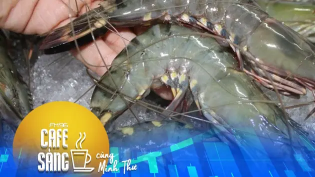 Đài Hà Nội