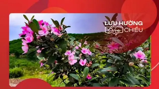 Đài Hà Nội